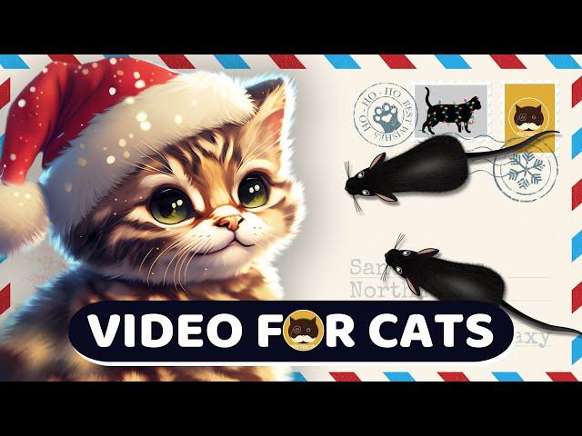 CAT GAMES MOUSE - Letter to Santa. Videos for Cats | CAT TV.