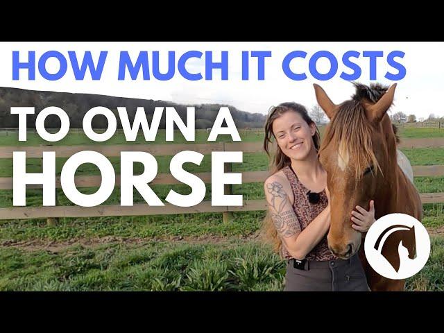 HOW MUCH DOES IT COST TO OWN A HORSE? DETAILED COST GUIDE 