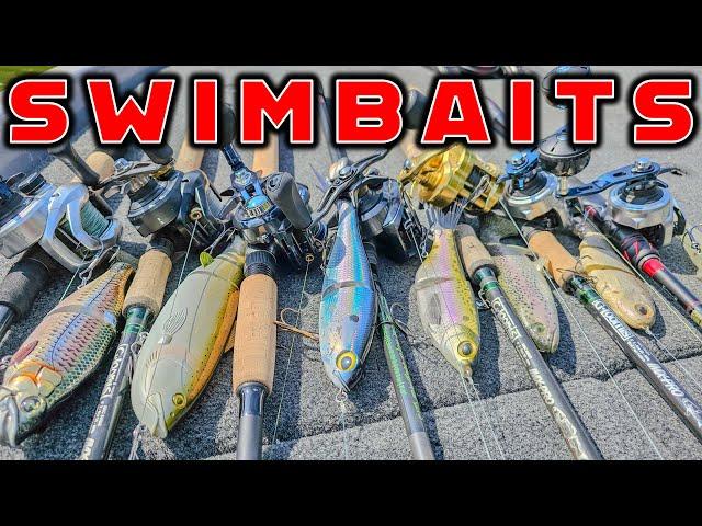 Swimbait Fishing – Full Seminar For Beginners and Advanced Anglers!