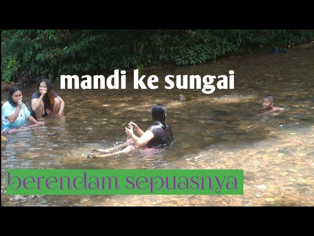 Mumpung lagi di kampung, mandi ke sungai sepuasnya ||dayakpedalaman||