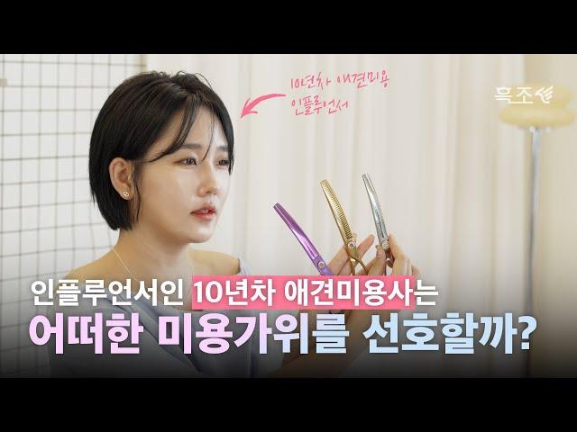 10년차 애견 미용사는 어떤 강아지 미용가위를 추천할까?