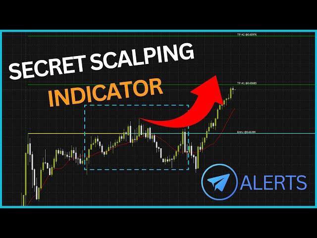 The Only Scalping Indicator You'll Ever Need (Telegram Trade Alerts)