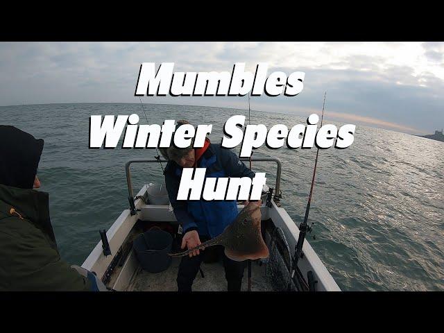 Mumbles winter species hunt