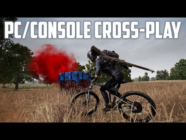 Console and PC Cross-Platform Play (PUBG)