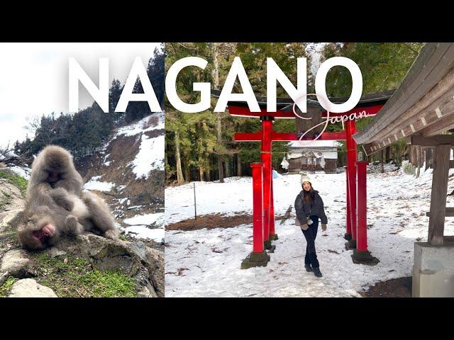 nagano, japan vlog  jigokudani snow monkey park, exploring yudanaka onsen, spirited away adventure