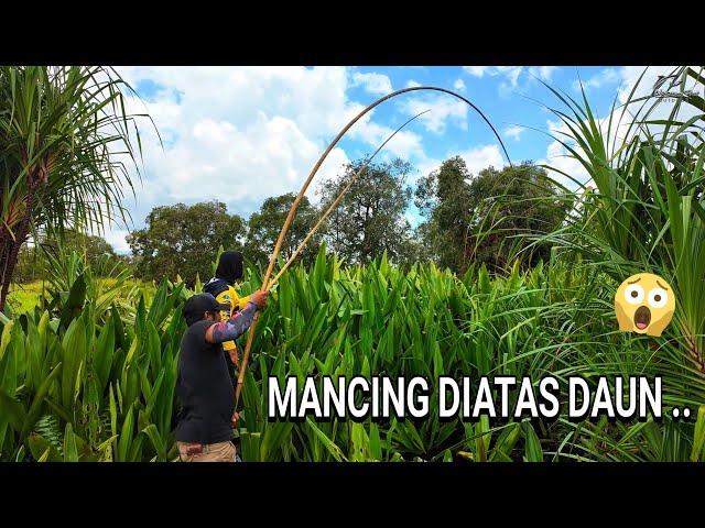 "  TRADITIONAL FISHING  "  MANG GUPP  .. ADALAH SALAH SATU TEKNIK MANCING YANG HAMPIR PUNAH ..  ..