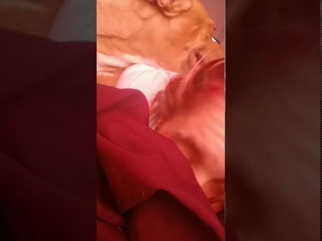 Wake up with my dog forever