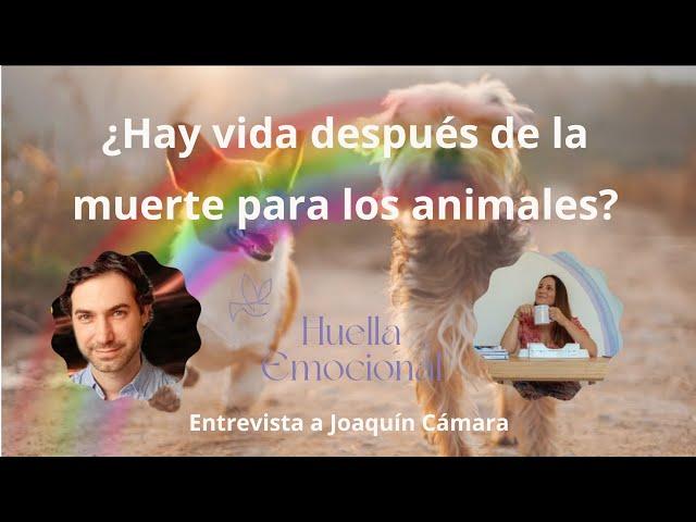 Entrevista Laura Vidal a Joaquín Cámara - ¿Hay vida después de la muerte para los animales?