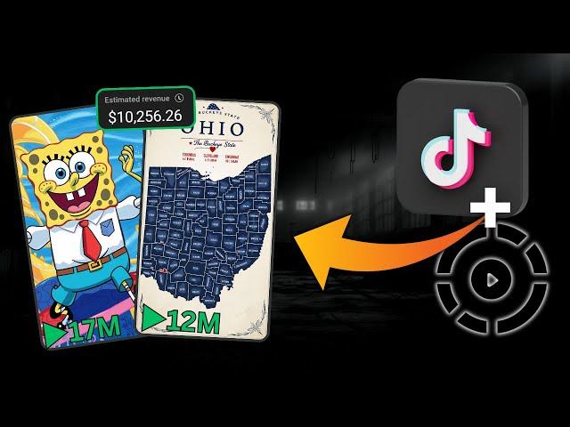 The BEST TikTok Niche For 2025 ($10k/Month)