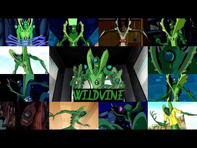 All wildvine transformations in all Ben 10 series