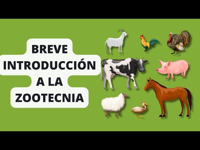 Introducción a la Zootecnia | Concepto, Importancia e Historia