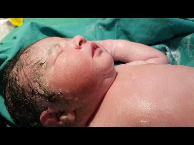 Newborn Baby Video, { Our cute stars }, Cute Newborn Baby After IVF, IVF Success ​Baby Born VIdeo