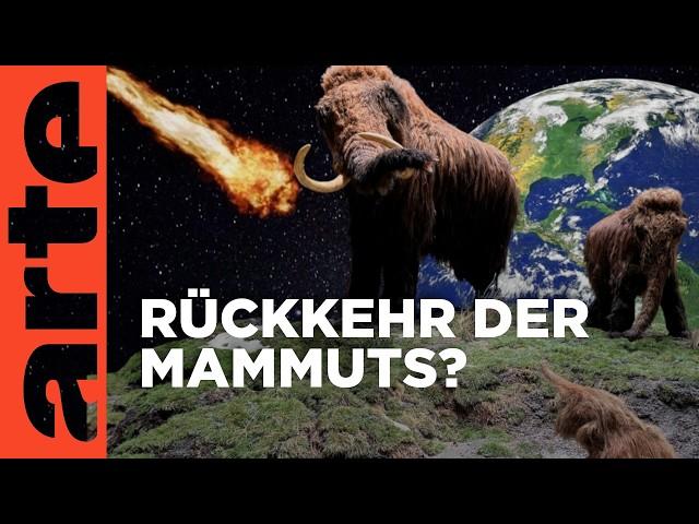 Ein Mammut-Projekt - Wiedergeburt ausgestorbener Arten | Doku HD | ARTE