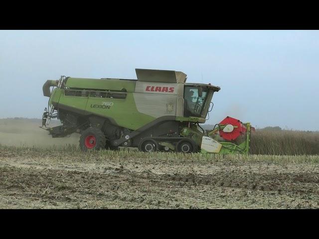 Claas Lexion 760 TerraTrac – maszynydlafarmeraPL – z pola