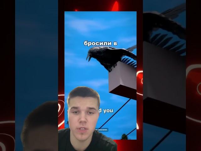 Не вредите животным! #рекомендации #полезныесоветы #zackdfilms
