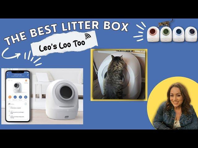 Review: Leo's Loo Too from Smarty Pear: The last litter box you'll ever need!