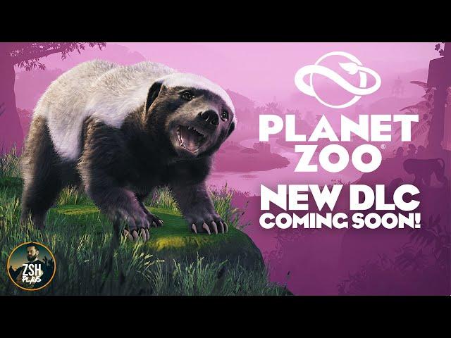 HONEY BADGERS in Planet Zoo! New DLC Announcement!