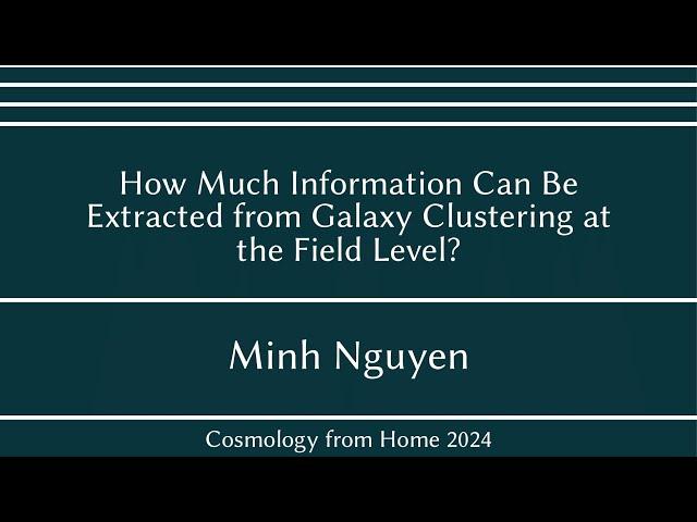 Minh Nguyen | How Much Information Can Be Extracted from Galaxy Clustering at the Field Level?