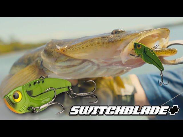 How to Fish the TT Switchblade+ Lure for Flathead, Bream, Snapper and more - How to catch Flathead.