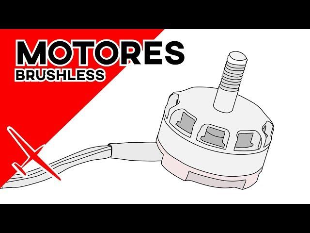 Motores brushless o sin escobillas | RC para principiantes