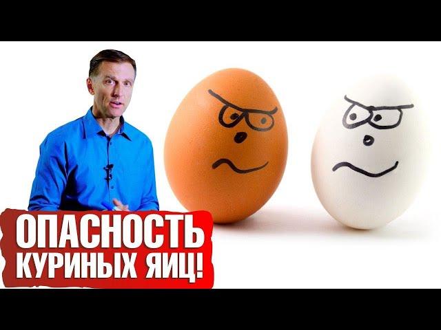 Чем опасны куриные яйца? Повышают ли яйца холестерин? 