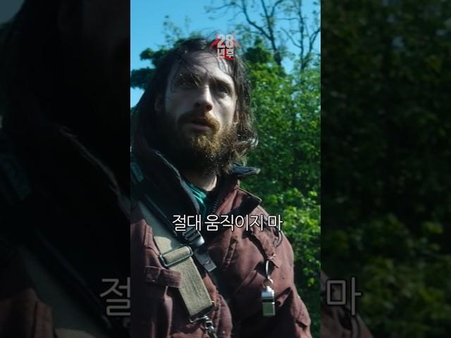 여름을 서늘하게 만드는 사운드