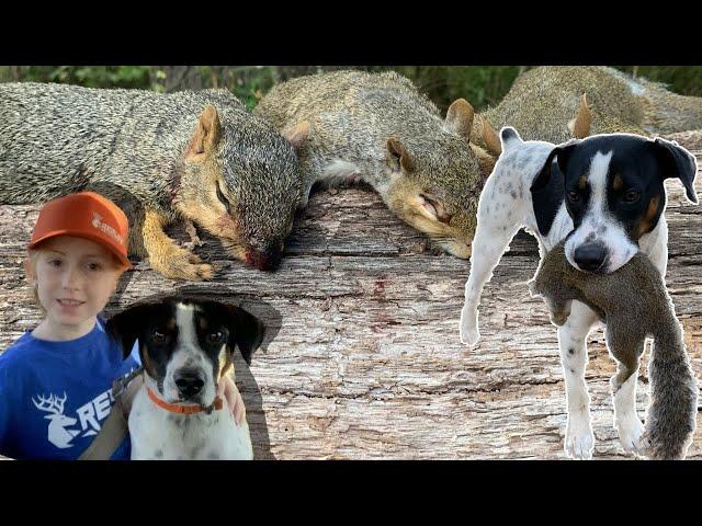 Squirrel Hunting With A DOG/The Beauty of Training A New Pup In 2024