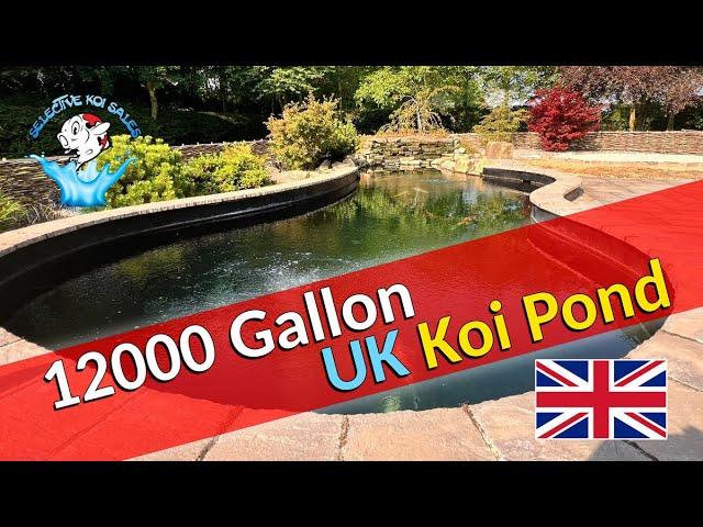 Superb 12000 Gallon Koi Pond *UK*