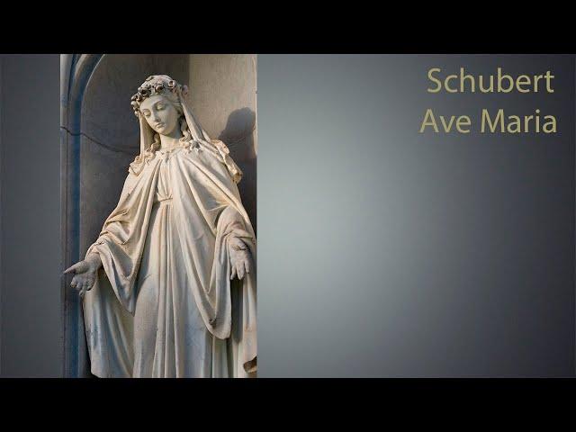 Schubert  "Ave Maria" - Marina Zoege von Manteuffel