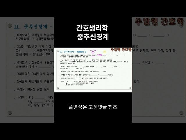널스형의 우발행 간호학. 간호생리학11. 중추신경계 summary 2. #널스형 #우발행 #간호학  #간호학과
