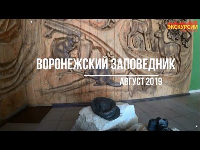 Экскурсия в Воронежский заповедник и в авиаклуб "Сапсан" в Усмани