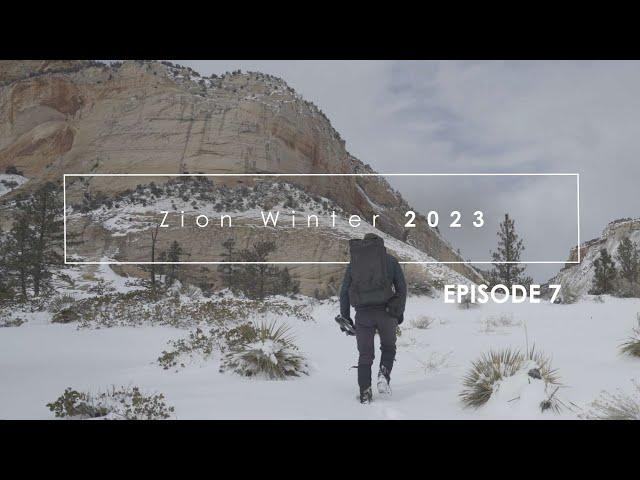 Large Format Landscape Photography in Zion, Winter 2023: Episode 7