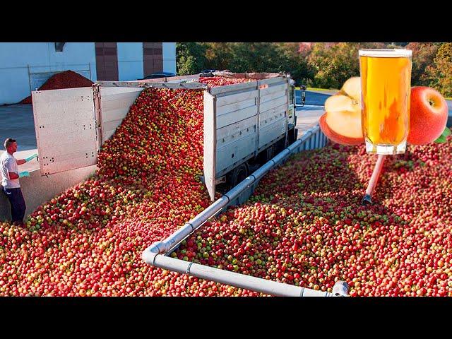 How Apple Juice Is Made In Factory | Modern Fruit Juice Making Technology | Food Factory