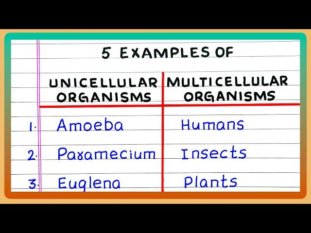 EXAMPLES OF UNICELLULAR AND MULTICELLULAR ORGANISMS