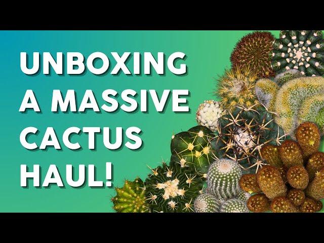 A Collector's Dream: Unboxing Over 40+ Unique Cacti! 