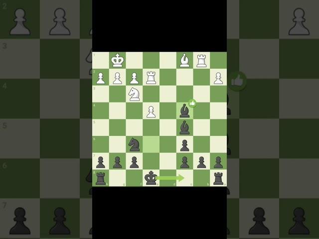 not a single Sevka and mistakes!?