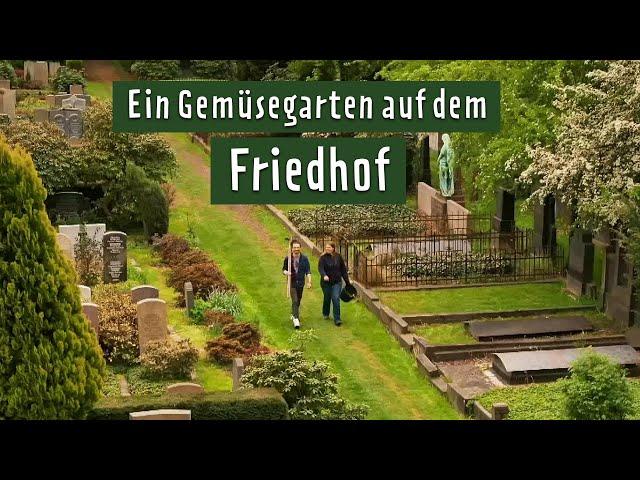 Gärtnern auf dem Friedhof: Der Neue Annenfriedhof öffnet sich für Neues | MDR Garten