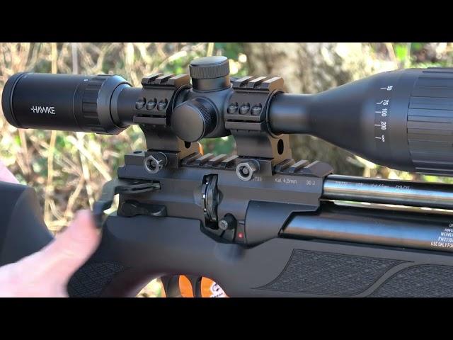 weihrauch hw110 target shooting