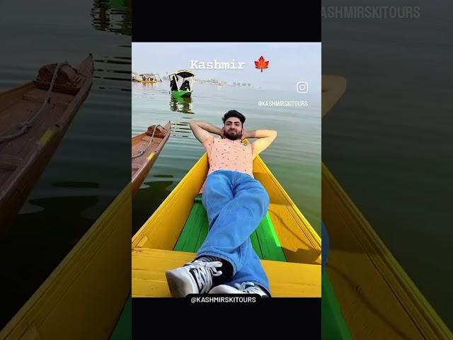 need vitamin Kashmir kis kis ko vitamin kashmir ki kami hai? tag your travel squad