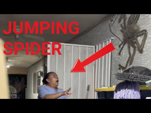 Almost gave mom a Heart Attack