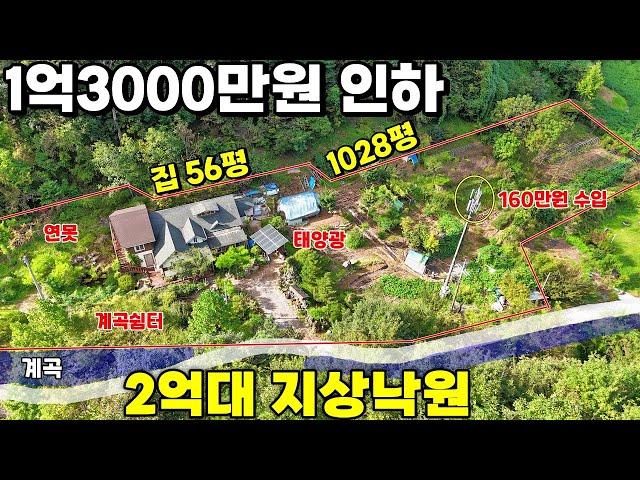 54.급매1억3000만원인하된 전원주택! 수년간 가꾼 지상낙원을 이 가격에?! 160만원 수익과 연못 계곡이 있는 예술가들의 영감쉼터 급매물 제천땅집부동산TV