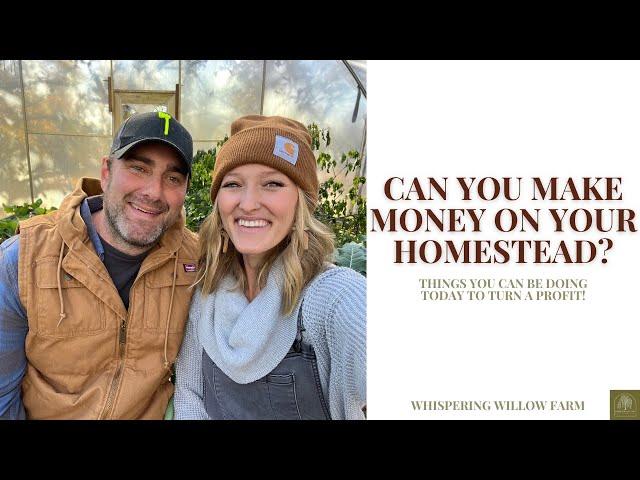 Can you MAKE MONEY ON YOUR HOMESTEAD?