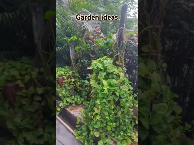 garden ideas @DiscoverGujarati  