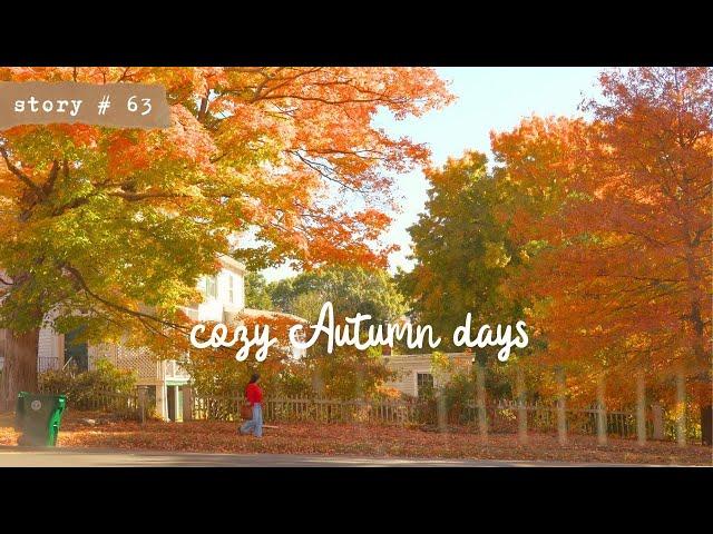 Cozy October Days | Autumn in New England | Slow Living Vlog | Apple Orchard and Vineyard Picnic