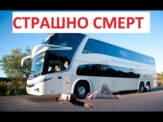 ташкент-санкт петербург автобус прямой рейс давлат рейслари без посредника #tashkent #avtobus