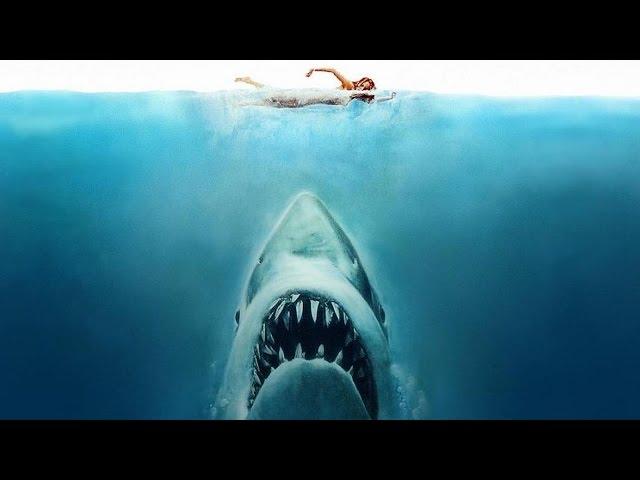 Was There Ever A JAWS Remake In The Works? - AMC Movie News