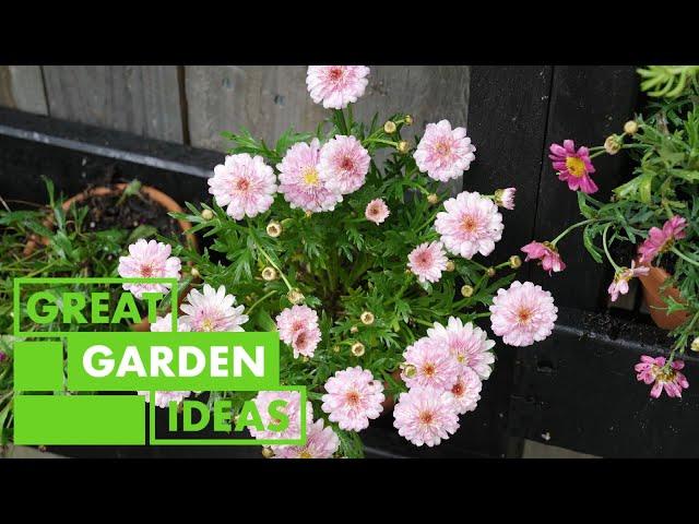 Garden Makeover Ideas on a Budget: Transform Your Outdoor Space | GARDEN | Great Home Ideas