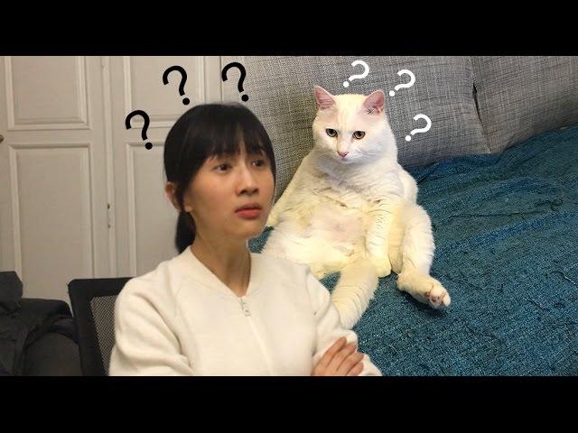 Papi - Life with Lao Hu [Papi's randomly updated trifles]
