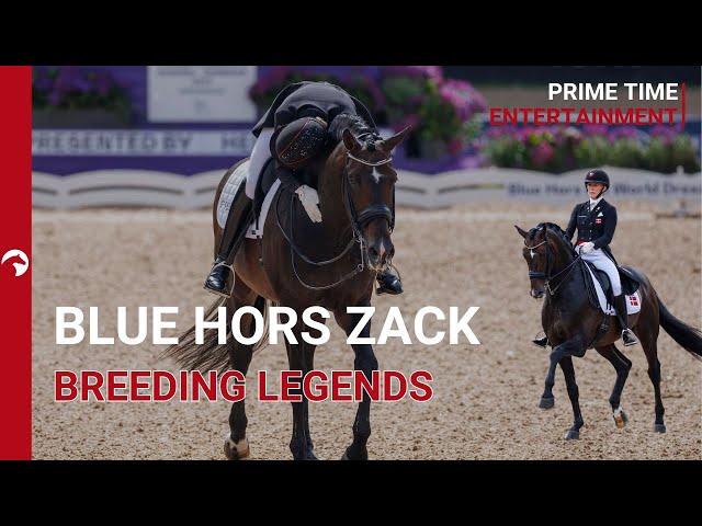 Stallions that shaped breeding - Breeding Legend Blue Hors Zack  I ClipMyHorse.TV