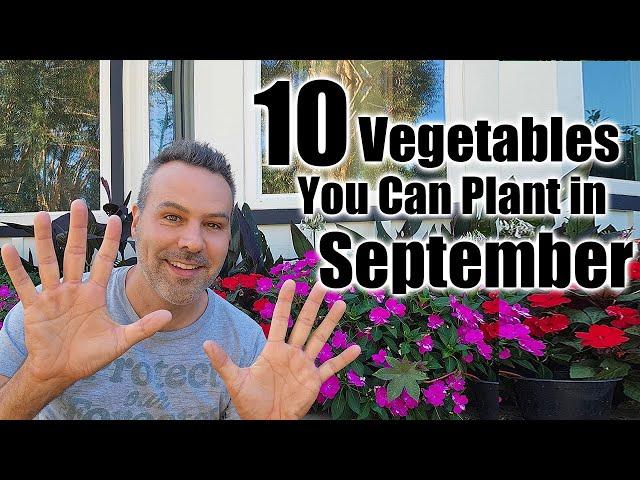 10 Vegetables to plant in September? IN ANY CLIMATE!